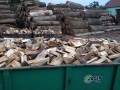 Fuel-wood